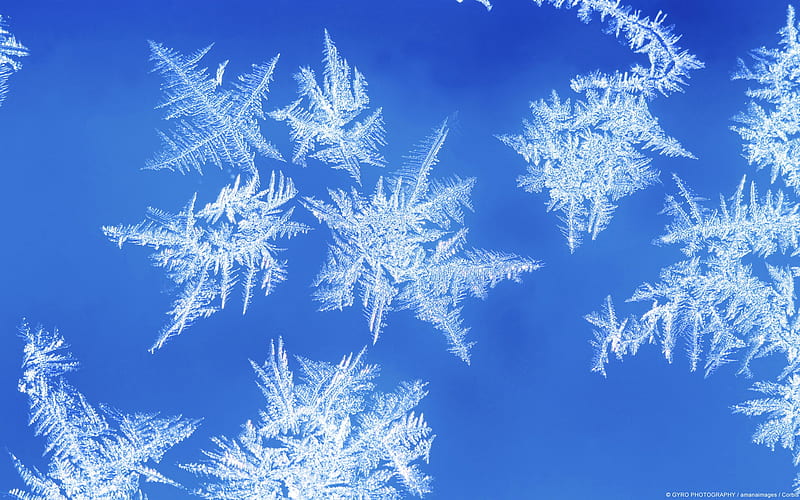 Formation of ice crystals-Windows 10, HD wallpaper