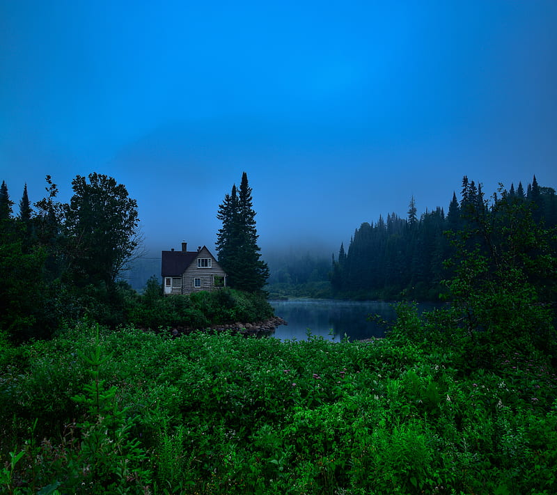 Foggy Cabin, fog, forest, house, park, HD wallpaper