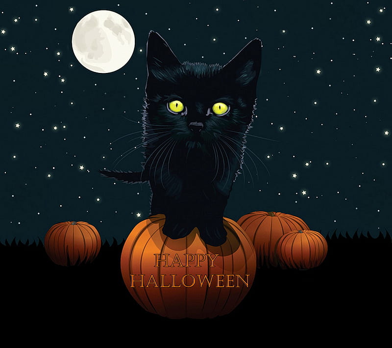 Halloween Cat, black cat, halloween, happy halloween, moon, HD wallpaper