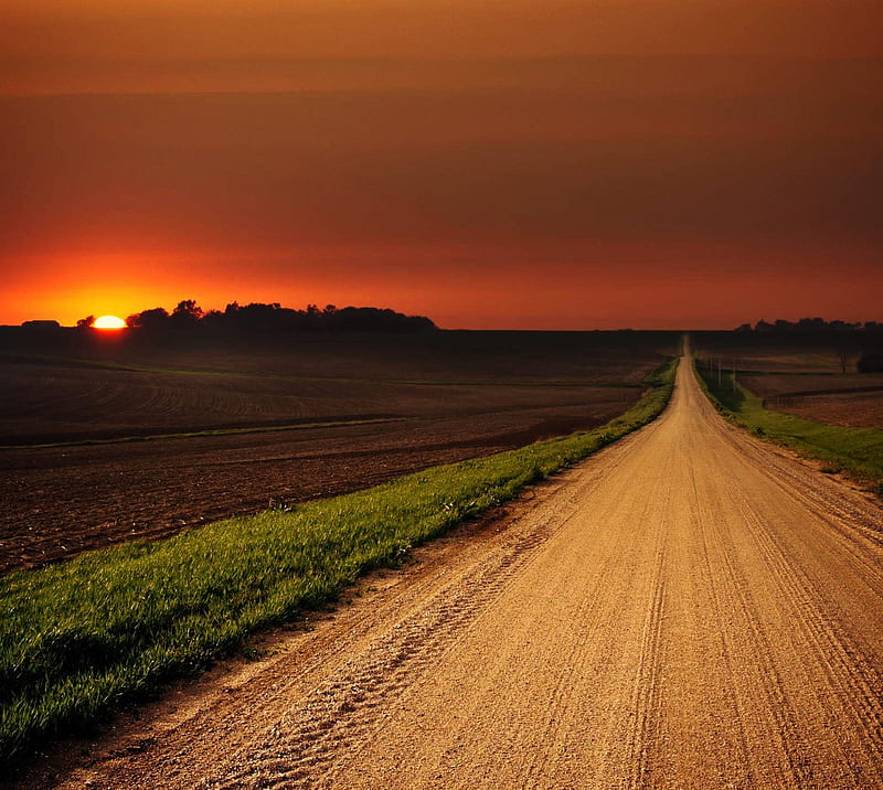 Road, field, landscape, nature, sunset, HD wallpaper | Peakpx