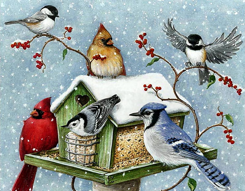 Winter Gathering F2, art, Nuthatch, artwork, Chickadees, animal, winter, bird, snow, avian, painting, Blue Jay, wide screen, wildlife, Cardinals, HD wallpaper