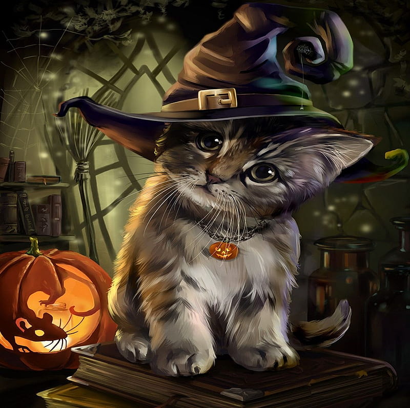 Halloween Kitty, cat, pumpkin, artwork, hat, HD wallpaper