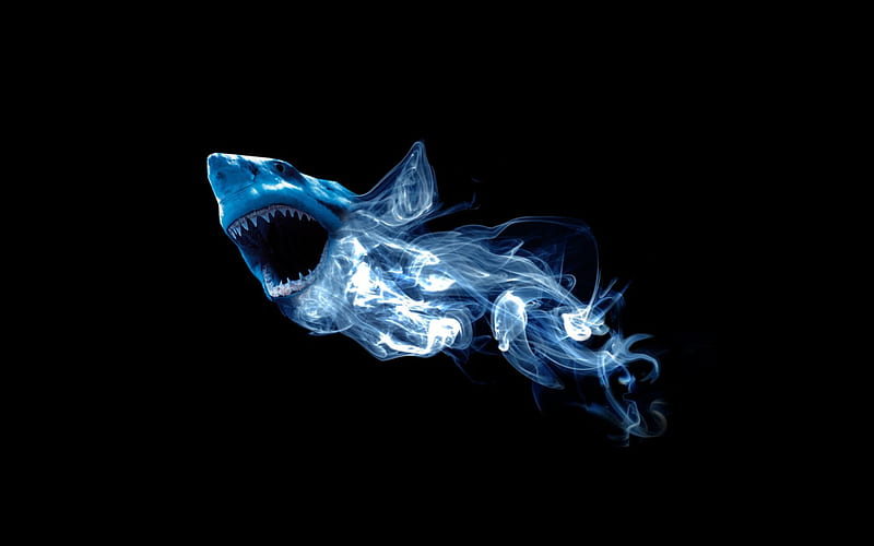 SHARK, black, blue, HD wallpaper