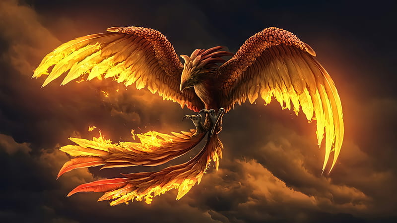 Phoenix Bird, Phoenix, CG, bird, Fantasy, HD wallpaper | Peakpx