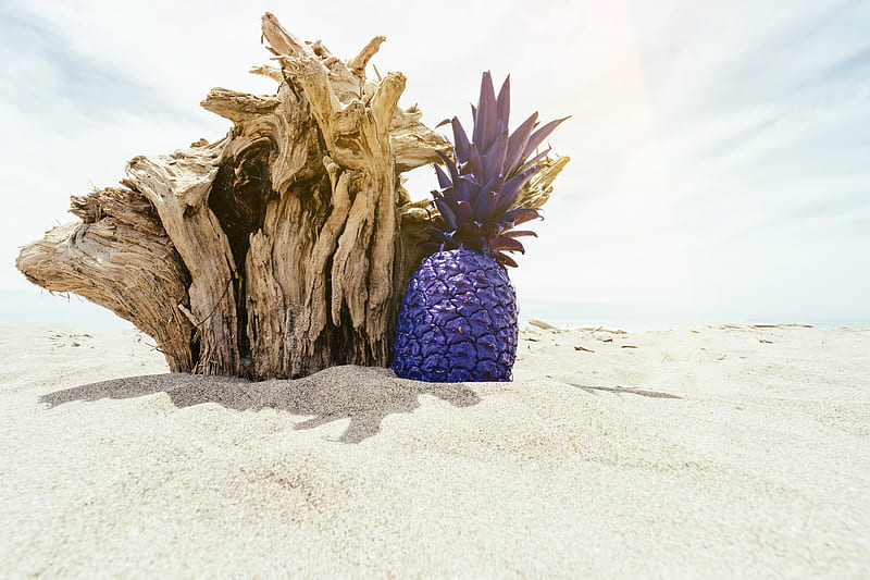 purple pineapple beside brown woodcraft on sand during daytime, HD wallpaper