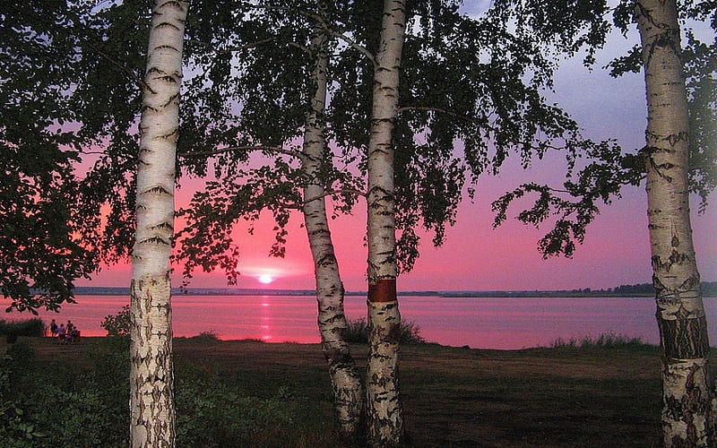 Lakeside Sunset, sun, water, birches, reflection, trees, sky, HD wallpaper