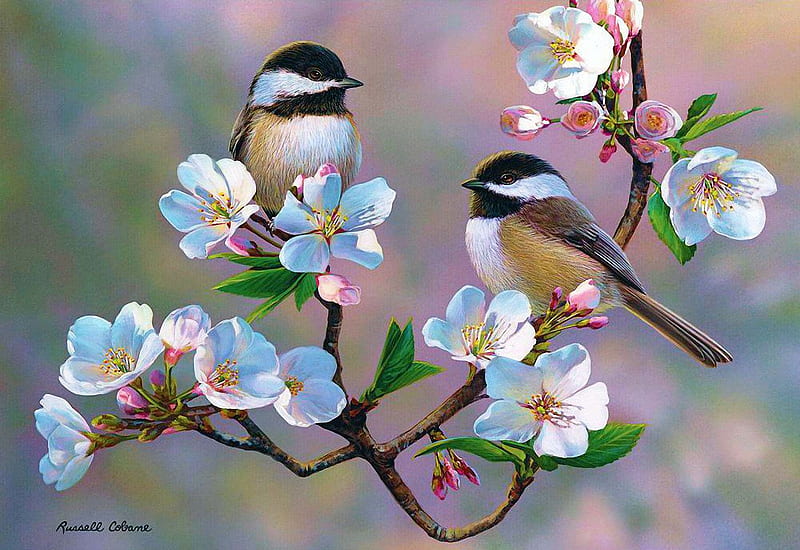 Chickadees, blossoms, birds, branches, cherry, painting, HD wallpaper