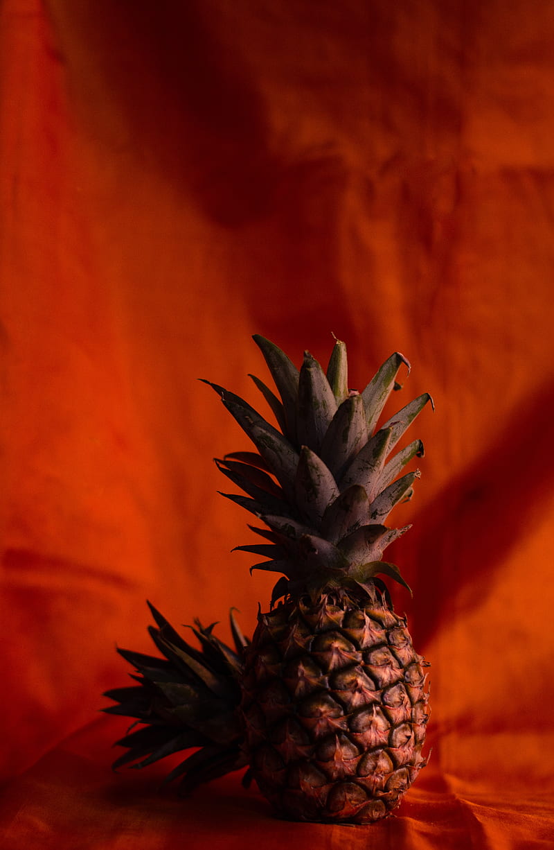 pineapples, fruit, brown, tropical, HD phone wallpaper