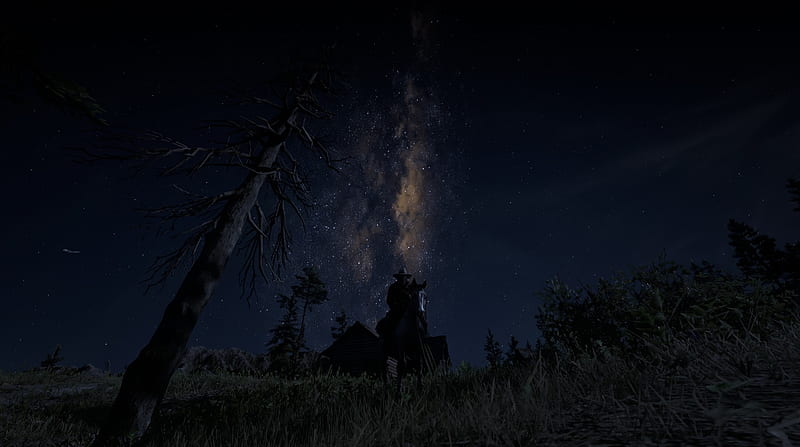 red dead redemption 2, night, game landscape, starry sky, cowboys, Games, HD wallpaper