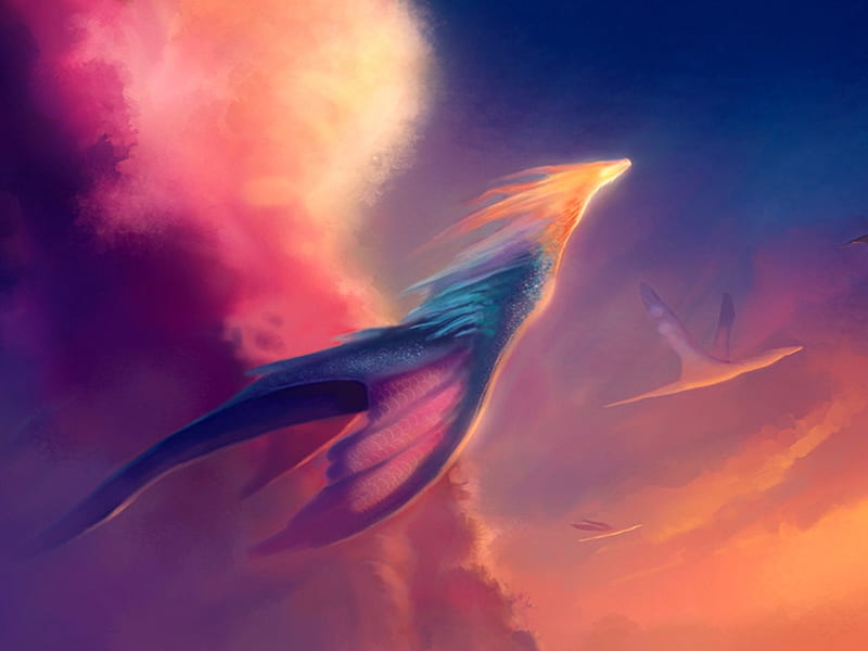 Fly away, sky, dragon, blue, flying, HD wallpaper