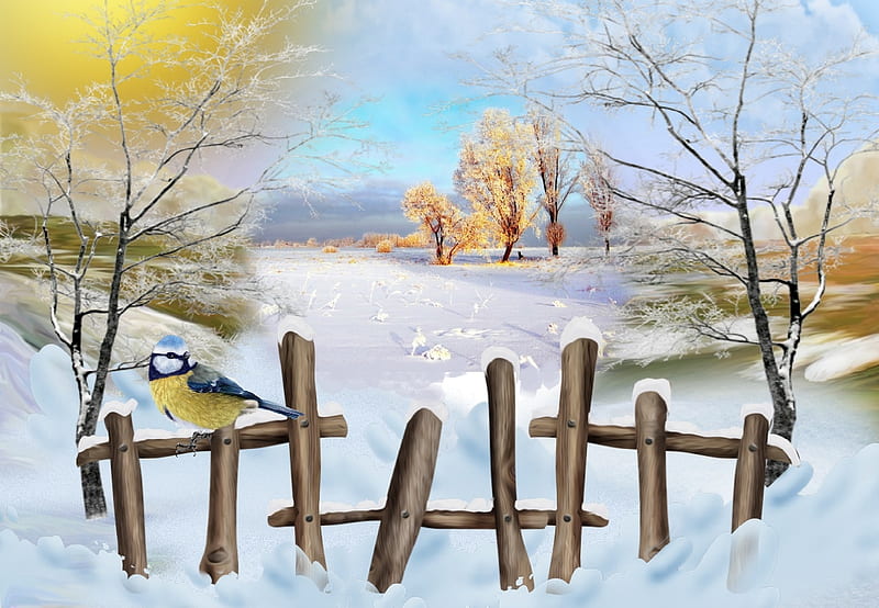 Over the fence, snow, birds, nature, trees, abstract, winter, HD wallpaper