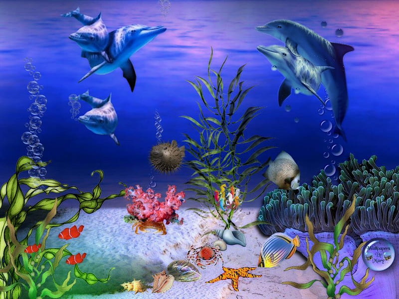 Cobalt Sea, oceans, seas, dolphins, fish, marinelife, HD wallpaper