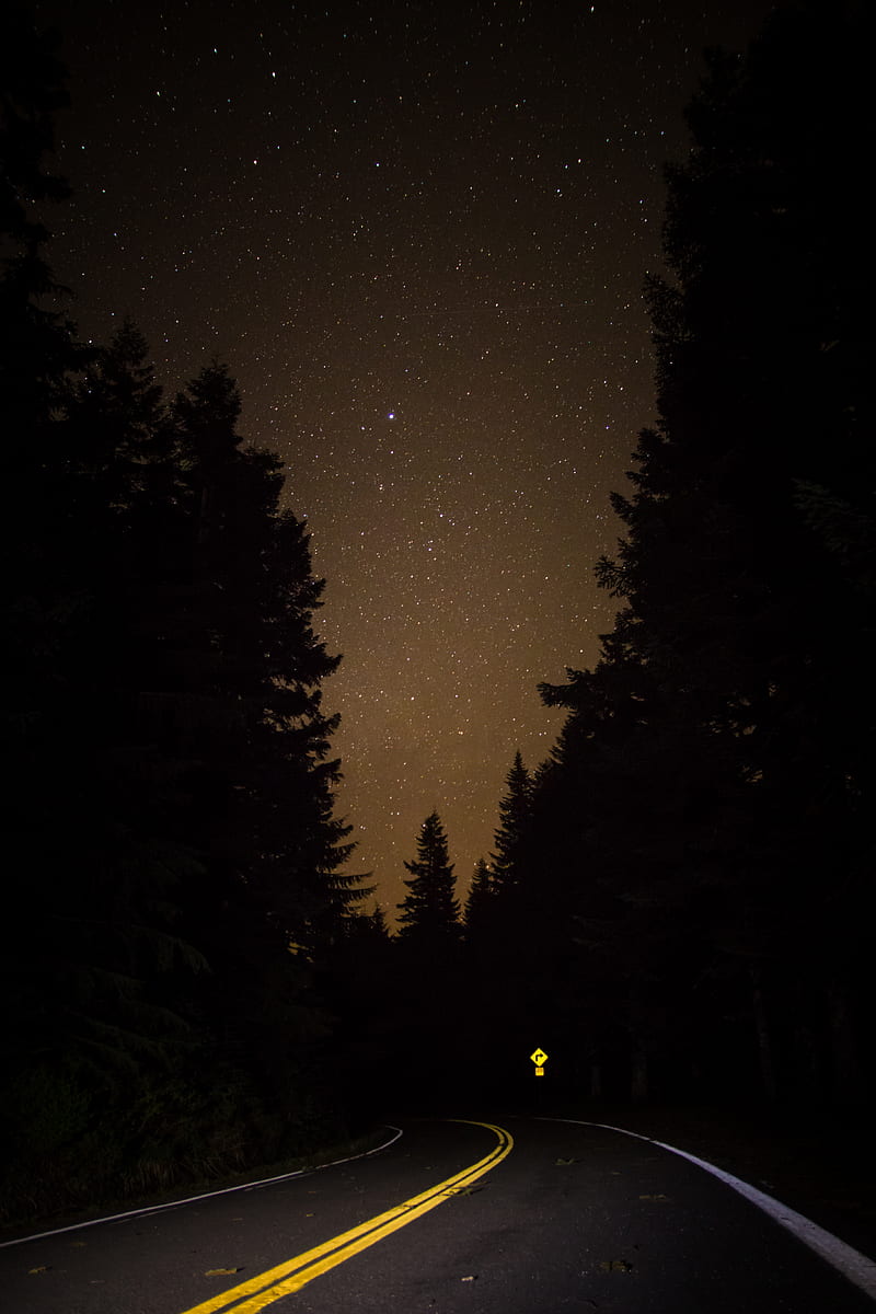 road, forest, night, starry sky, HD phone wallpaper