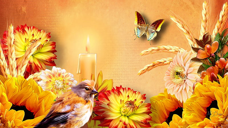 Awesome Autumn, candle, fall, astor, autumn, wheat, gold, bird, sunflowers, butterfly, oats, light, dahlia, HD wallpaper