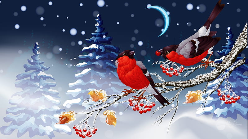 Bullfinches, Christmas, finches, holiday, birds, trees, winter, moon, snow, berries, HD wallpaper