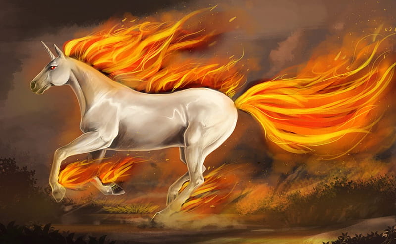 Unicorn, fire, fantasy, orange, white, horse, animal, HD wallpaper