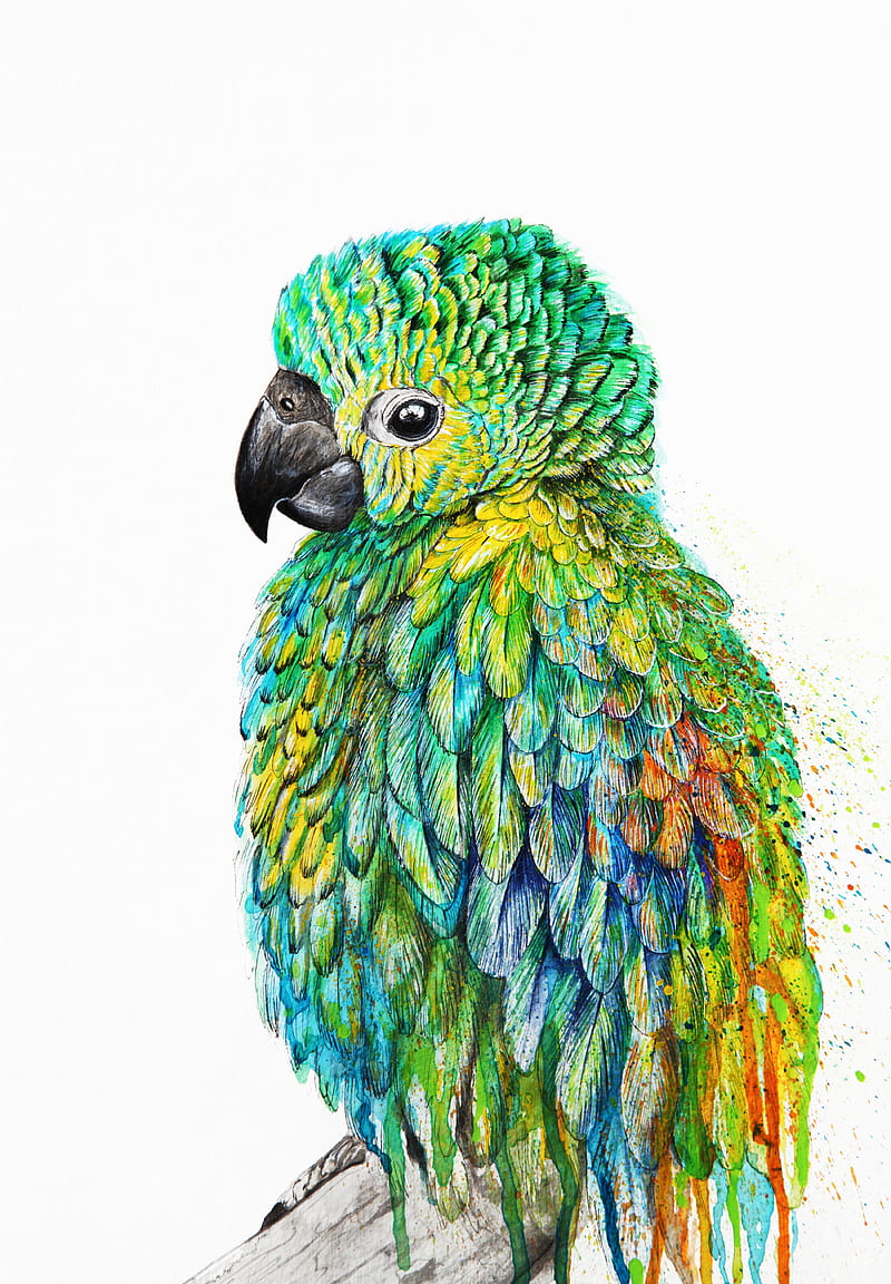 Parrot , art, artist, bird, cute, green, illustration, nika, nika akin, painting, HD phone wallpaper