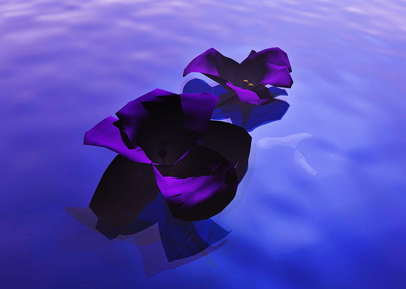 Floating violets, water, purple, flowers, violets, floating, ripplets, blue, HD wallpaper