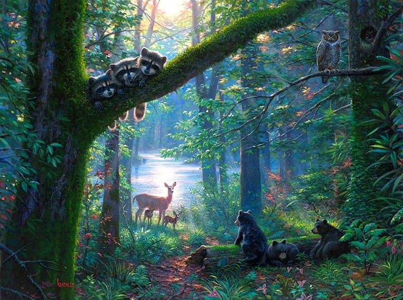Moonlit Encounters, raccoons, owl, love four seasons, spring, attractions in dreams, deer, paintings, nature, bears, forests, moonlit, animals, HD wallpaper