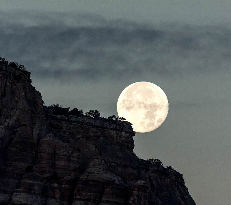 Moonlight, breathtaking, full moon, HD wallpaper