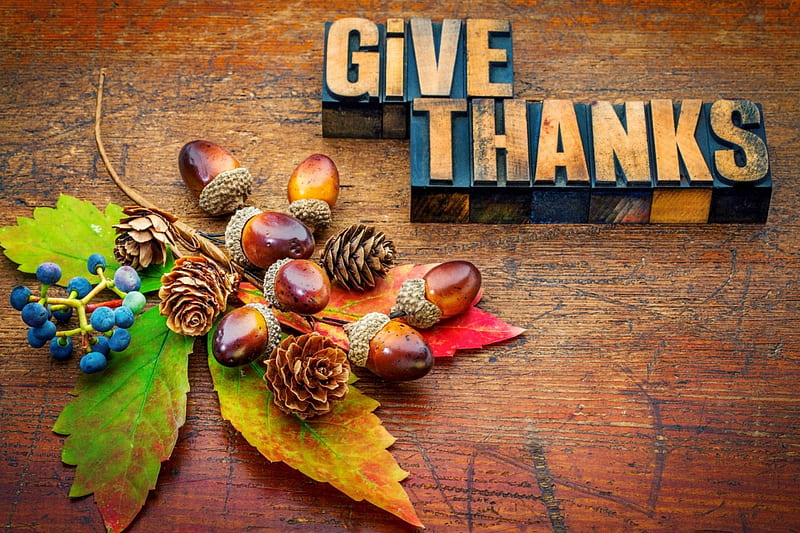 Thanksgiving Day, Fall, acorns, Holiday, leaf, pine cones, nuts, Thanksgiving, berries, Autumn, HD wallpaper