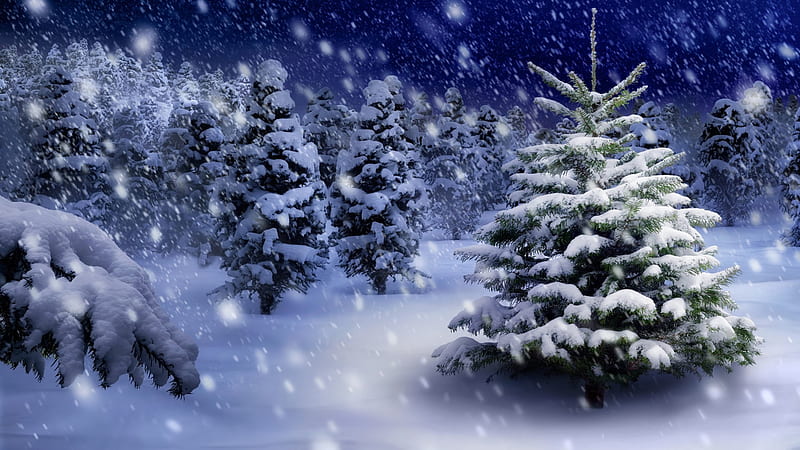 Winter forest, nature, trees, snow, winter, HD wallpaper