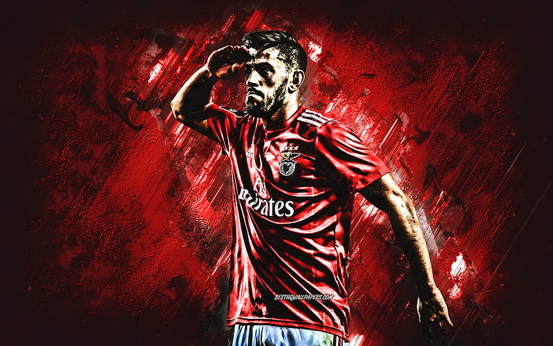 Pizzi, Benfica, Portuguese footballer, Luis Miguel Afonso Fernandes, striker, red stone background, portrait, HD wallpaper
