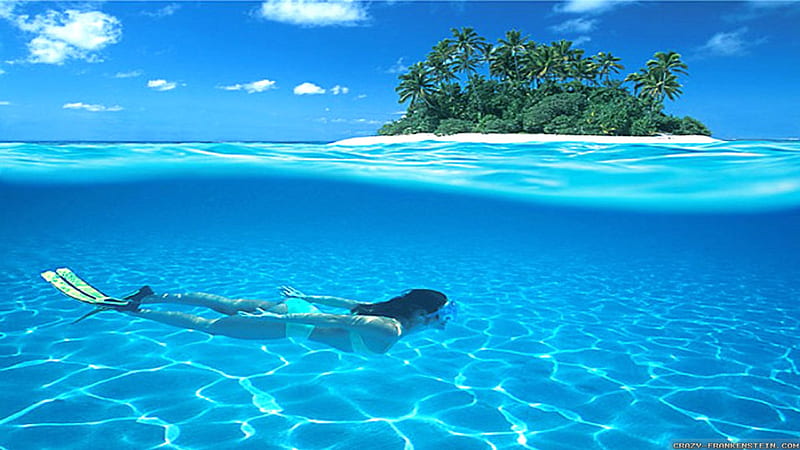 Scuba Diving in Paradise, oceans, beaches, scuba diving, trees, blue, HD wallpaper