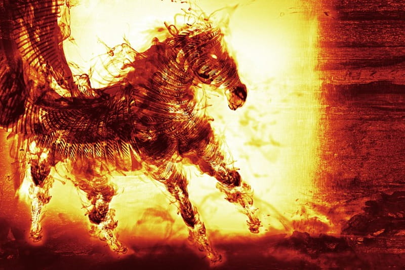 flying fire horse wallpaper
