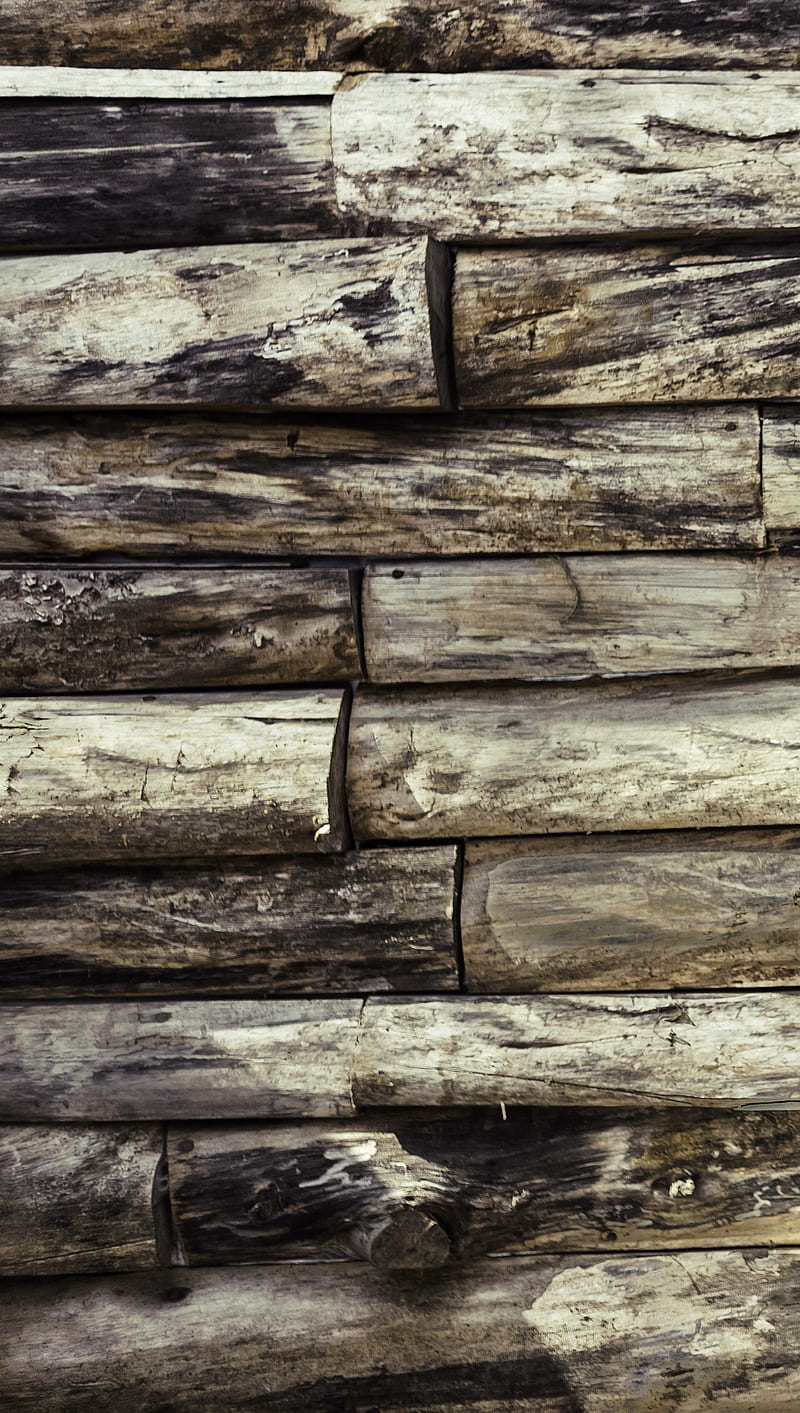 Ván gỗ là vật liệu chủ đạo trong thiết kế nhà ở hiện đại ngày nay. Với đa dạng kiểu dáng và màu sắc, chúng đang trở thành xu hướng hot nhất trong thiết kế nội thất. Hãy đến với hình ảnh ván gỗ để khám phá tất cả những ưu điểm đó nhé!