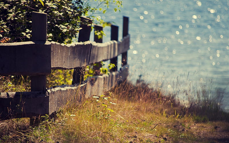 fence plants seaside-Summer landscape, HD wallpaper