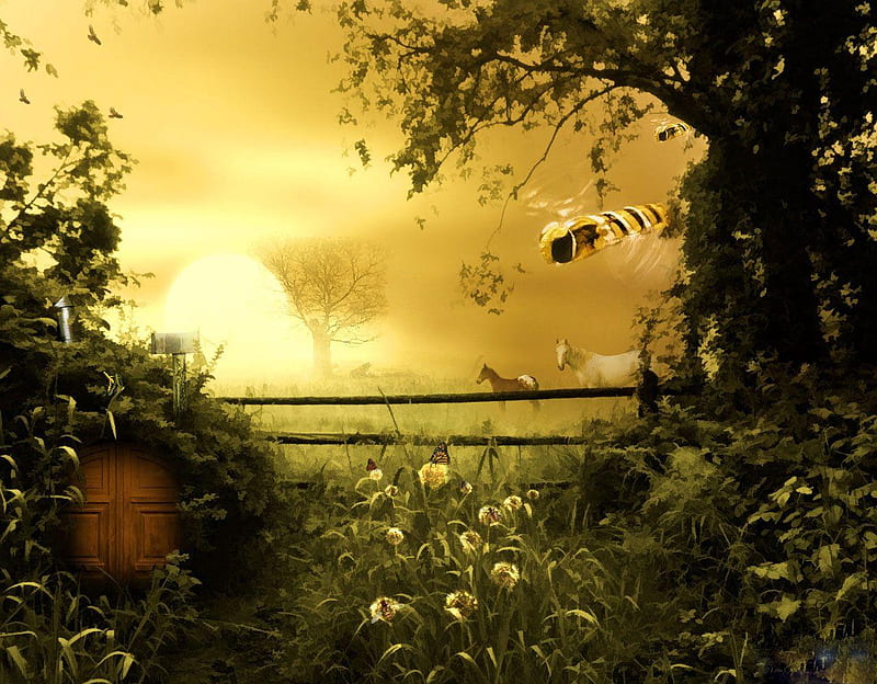 naturased, flower, yellow, bee, nature, HD wallpaper