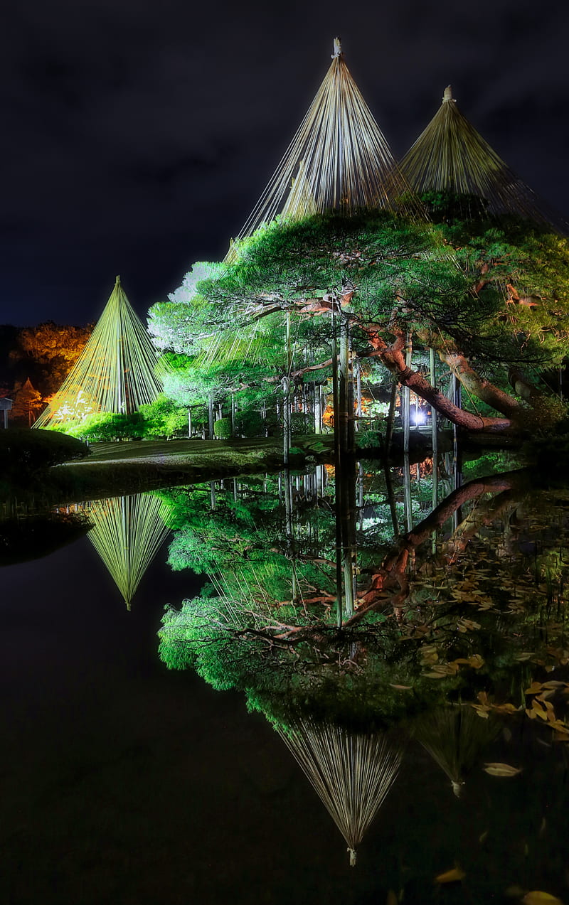 tree, lake, reflection, gazebo, light, dark, HD phone wallpaper