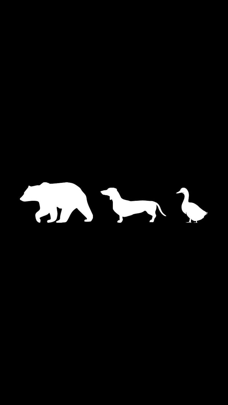 Animals Nightout, Bear duck and dog, black, cool memes, doggo, funny animals, humorous, humour, relatable humor, sarcastic, wild animal, HD phone wallpaper
