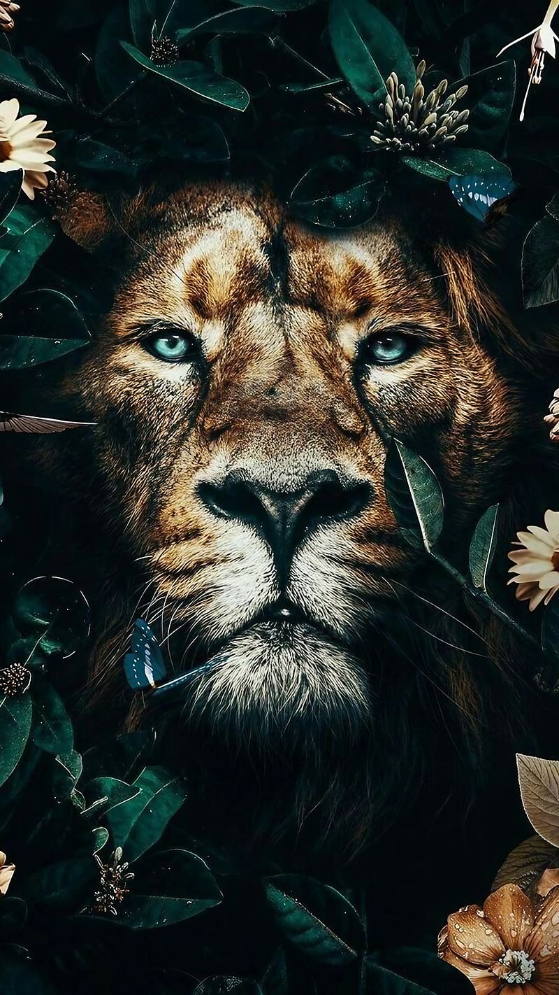 Best Animal, Lion Angry Look, king of the jungle, wild animal, HD phone wallpaper