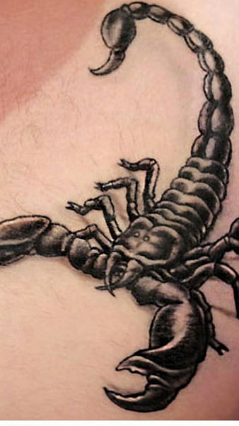 Gray Scorpion Temporary Tattoo