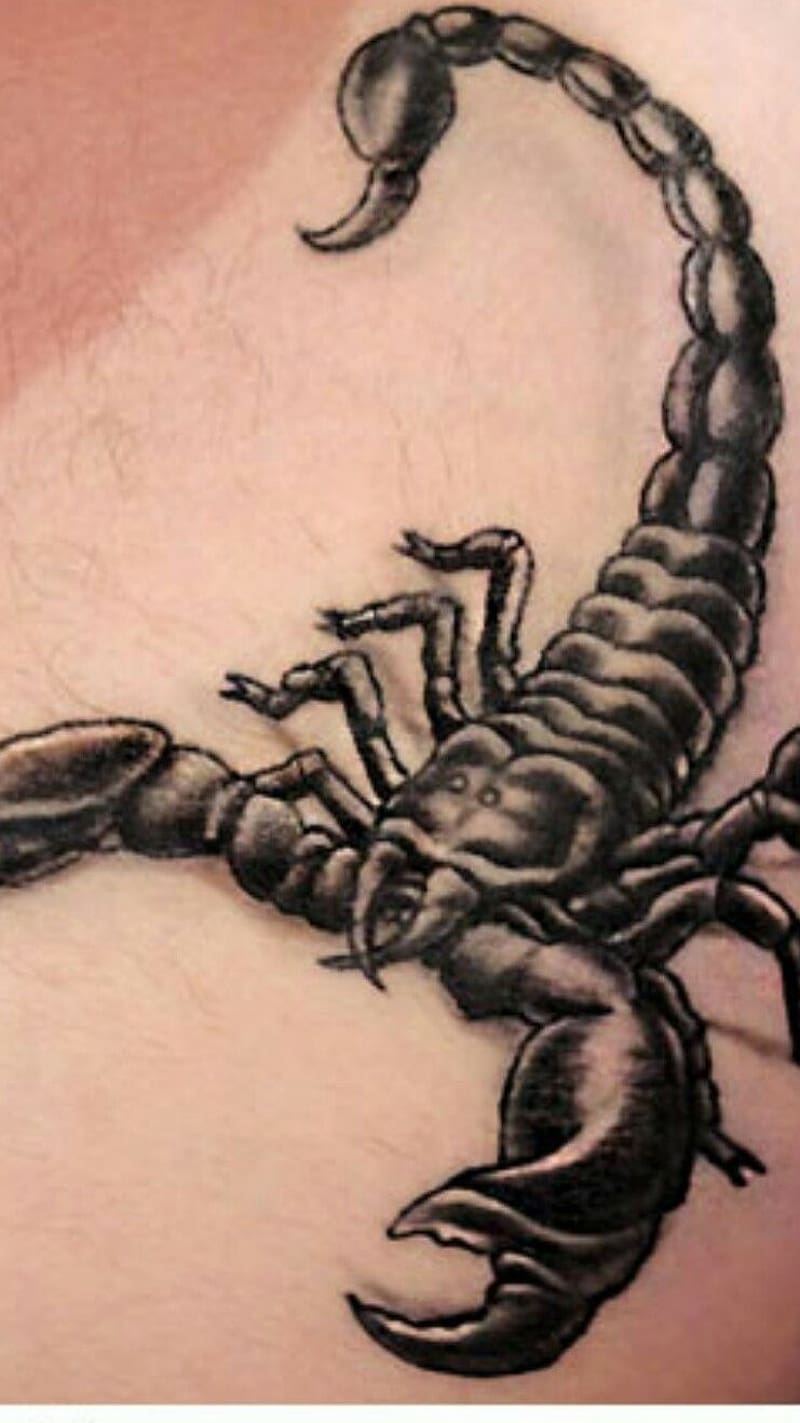 Scorpion Tattoo On Hand, scorpion, poison, danger, insect, HD phone wallpaper