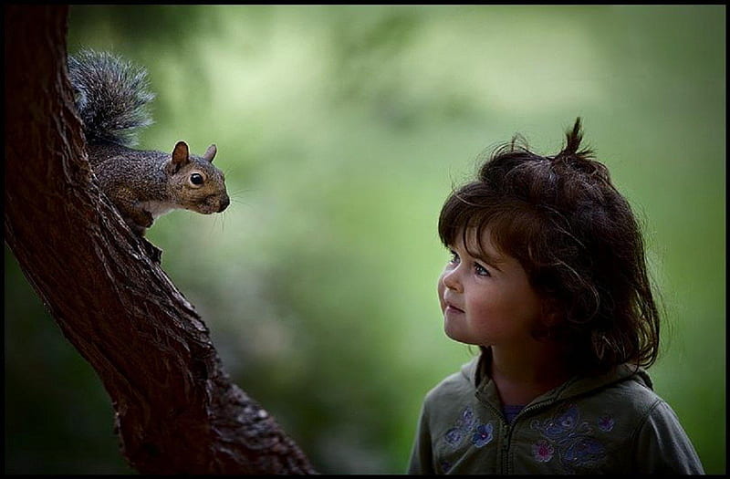 Best friends, little girl, squirrel, in the park, HD wallpaper