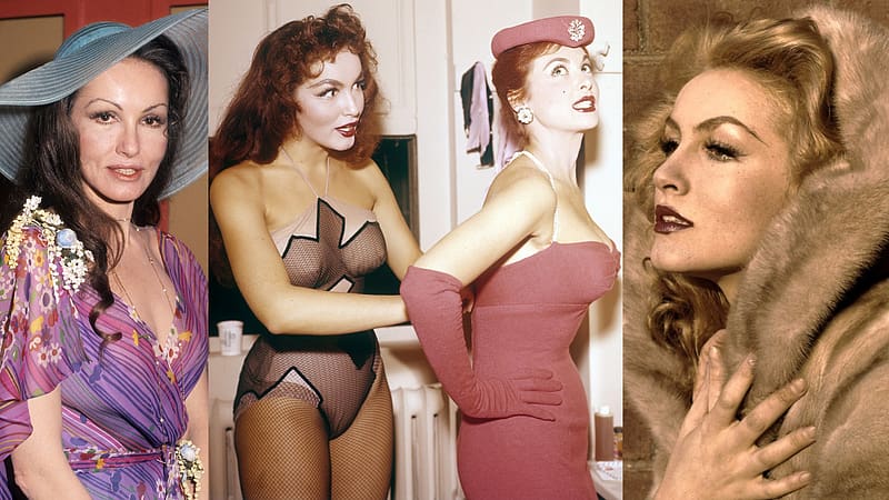 Icon Julie Newmar, Actress, Icon, Newmar, Julie, HD wallpaper