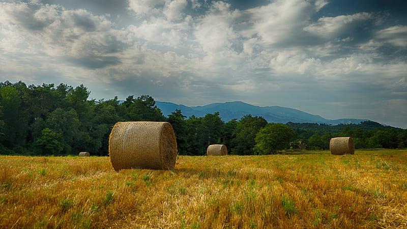 Earth, Haystack, Field, Harvest, HD wallpaper