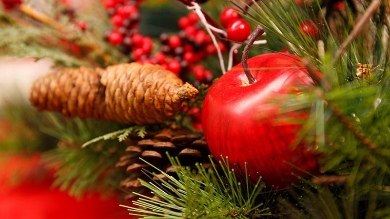 Colorful Christmas Decoration, Christmas, Red, Apples, Decorations, Holidays, Green Fir, Nature, Pine Cones, Berries, HD wallpaper
