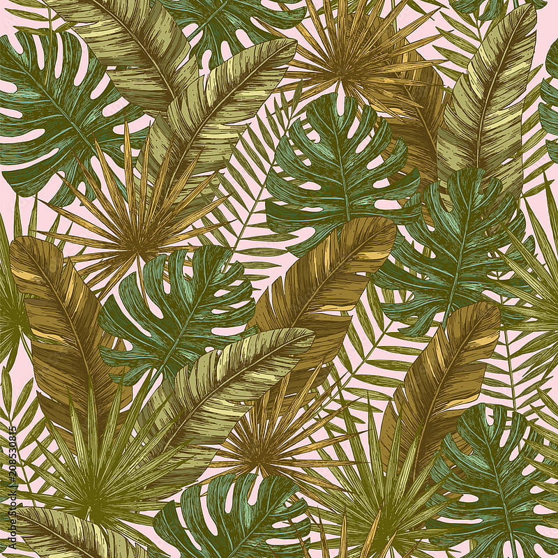 Tropical leaves seamless pattern. Retro jungle . Vector illustration Stock Vector, HD phone wallpaper