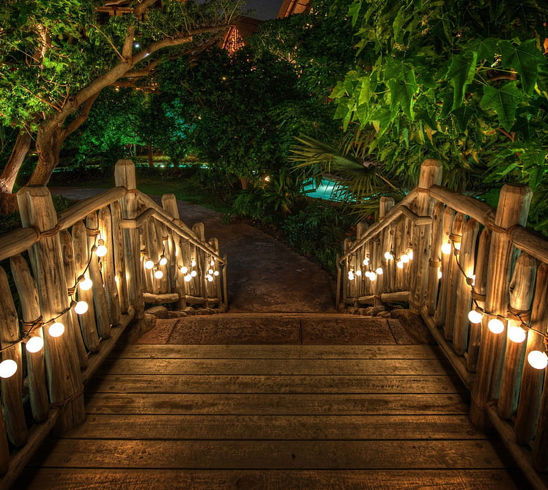 Love Stairway, light, romantic, stairs, trees, woody, HD wallpaper