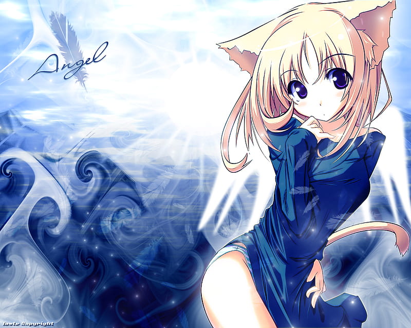 Cute Catgirl, catgirl, pretty, blonde hair, adorable, trible, cat, cute, girl, anime, anime girl, blue, HD wallpaper