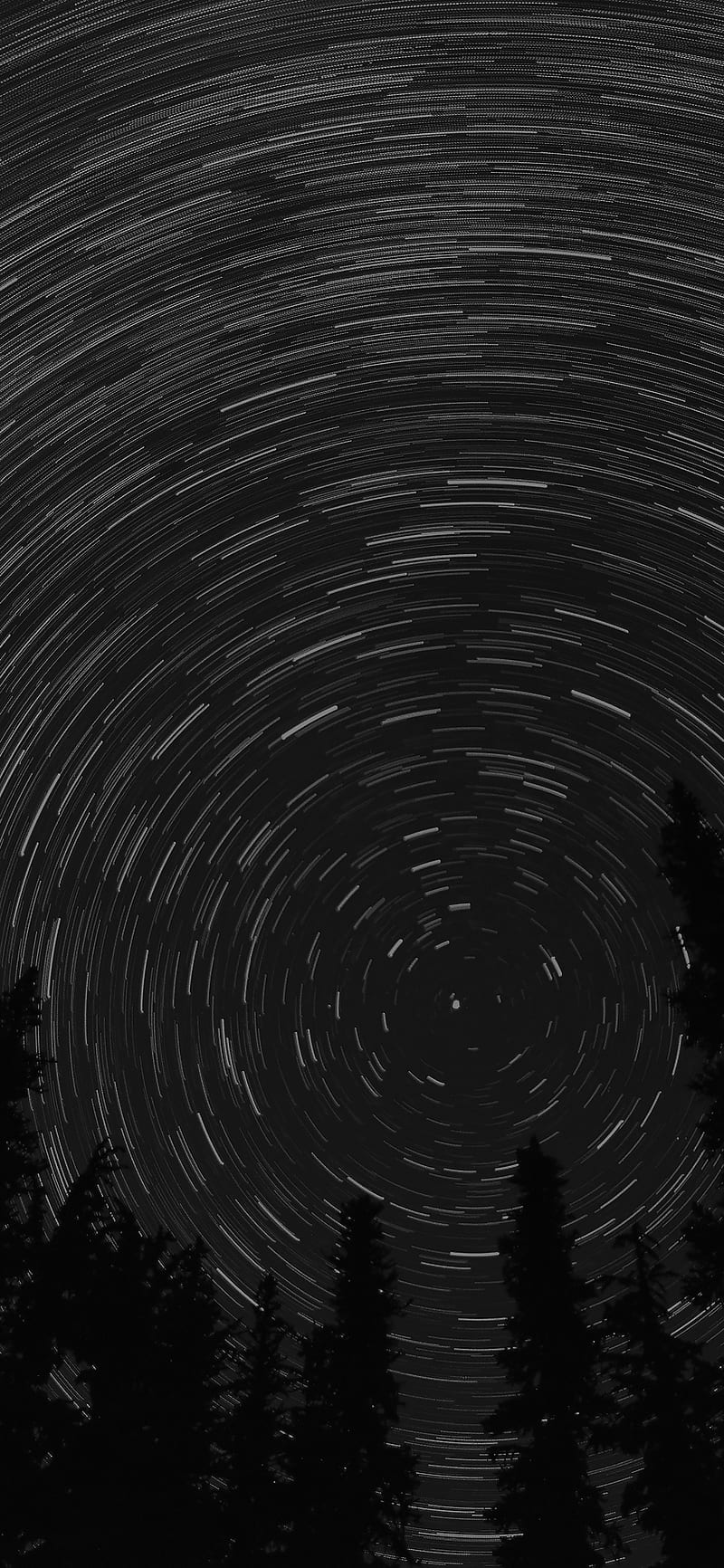 iPhone X . star trail green tree space night dark nature, Black Void, HD phone wallpaper