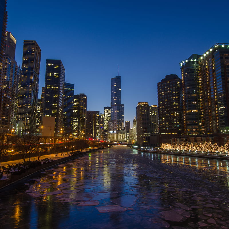 Chicago River, chicago, trump, HD phone wallpaper