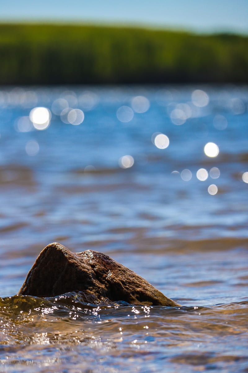 Water Rocks, beach, lake, nature, oh snap graphy, graphy, rock, trees, water, HD phone wallpaper