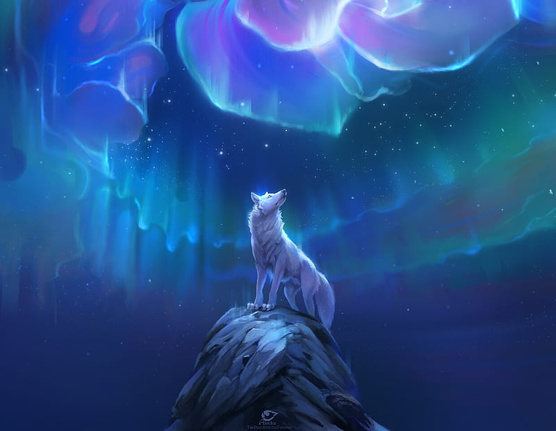 Wolf, luminos, aurora, claudya schmidt, white, sky, pink, blue, lup, HD wallpaper