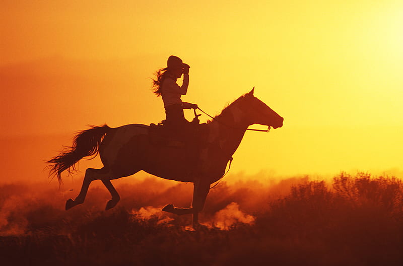 in to the sun, sun, 08, into, 2011, cowboy, 30, HD wallpaper