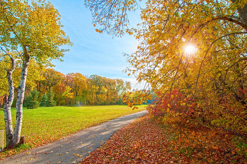 Autumn Sunrise, fall, leaves, sun, path, colors, trees, sky, HD wallpaper
